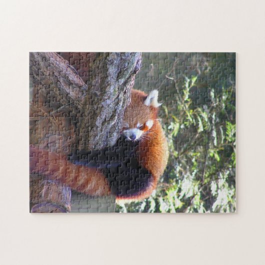 Sleeping Red Panda Legpuzzel (Horizontaal)