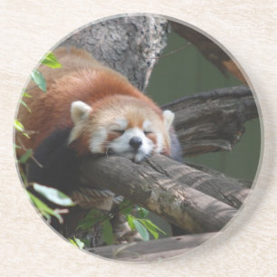 Sleeping Red Panda Onderzetter