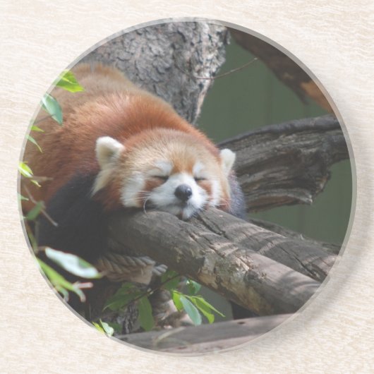 Sleeping Red Panda Onderzetter (Voorkant)