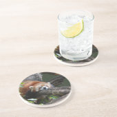 Sleeping Red Panda Onderzetter (Zijkant)