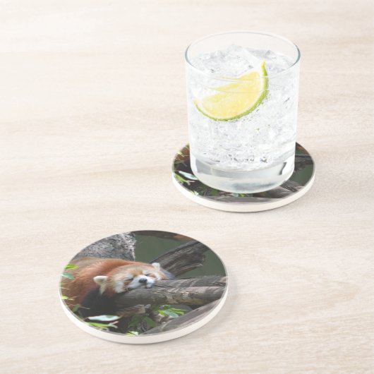 Sleeping Red Panda Onderzetter (Zijkant)