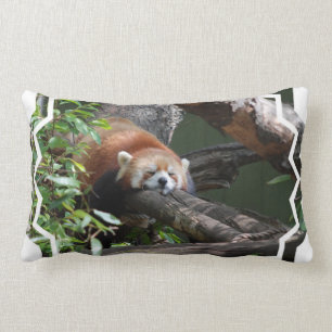 Sleeping Red Panda Pillow Kussen