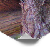 Sleeping Red Panda Poster (Hoek)