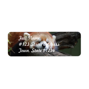Sleeping Red Panda Return Address Mailing Label