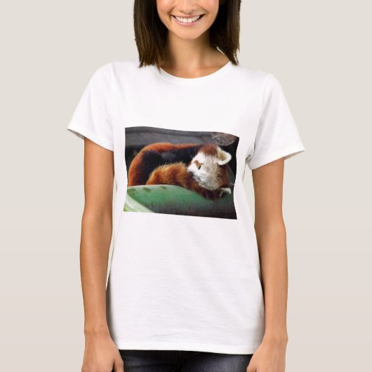 Sleeping Red Panda T-shirt (Voorkant)