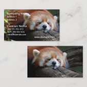 Sleeping Red Panda Visitekaartje (Voorkant / Achterkant)