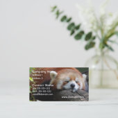 Sleeping Red Panda Visitekaartje (Staand voorkant)