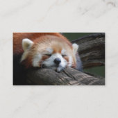 Sleeping Red Panda Visitekaartje (Achterkant)