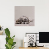 Sleeping Shih tzu Poster, Sleeping Dog Poster (Thuiskantoor)