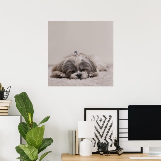 Sleeping Shih tzu Poster, Sleeping Dog Poster (Thuiskantoor)