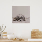 Sleeping Shih tzu Poster, Sleeping Dog Poster (Keuken)