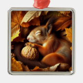Sleeping Squirrel Ornament (Voorkant)