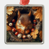 Sleeping Squirrel Ornament (Voorkant)