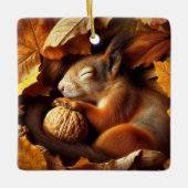Sleeping Squirrel Ornament (Voorkant)