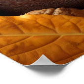 Sleeping Squirrel Poster (Hoek)