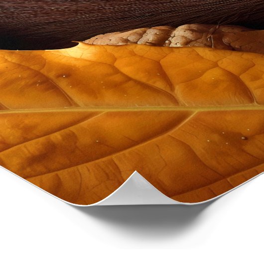 Sleeping Squirrel Poster (Hoek)