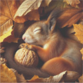 Sleeping Squirrel Vinyl Sticker (Voorkant)