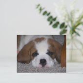 Sleeping St. Bernard Puppy Briefkaart (Staand voorkant)