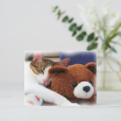 Sleeping Tabby Teddy Bear Briefkaart (Staand voorkant)