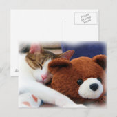 Sleeping Tabby Teddy Bear Briefkaart (Voorkant / Achterkant)