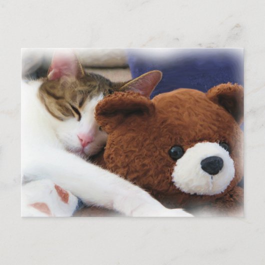 Sleeping Tabby Teddy Bear Briefkaart (Voorkant)