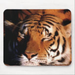 Sleeping Tiger Mousepad Muismat<br><div class="desc">Pas dit object aan zodat je kunt zeggen wat je wilt!</div>