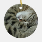 Sleeping tijger-kat keramisch ornament (Voorkant)