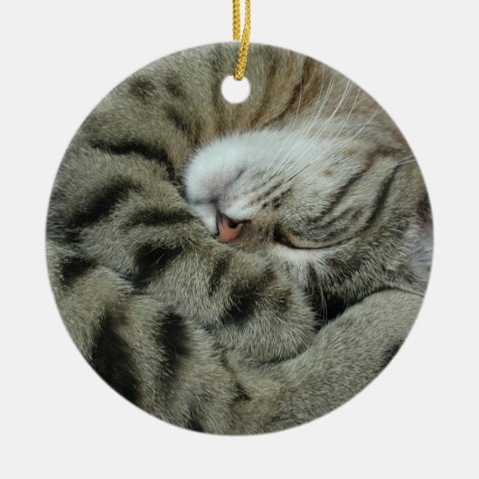 Sleeping tijger-kat keramisch ornament (Voorkant)