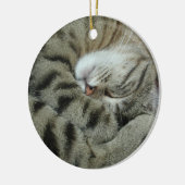 Sleeping tijger-kat keramisch ornament (Links)