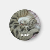 Sleeping tijger-kat magneet (Voorkant)