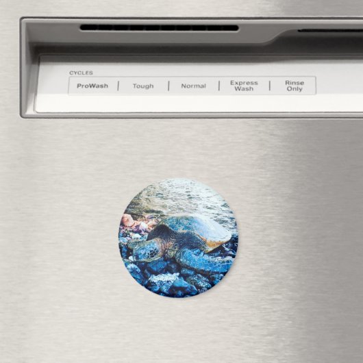 "Sleeping Turtle"-magneet Magneet (Insitu (Vaatwasser))