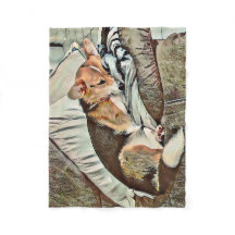 Sleeping Welsh Corgi op Couch