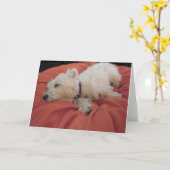 Sleeping Westie Foto Wenskaart Kaart (Gele Bloem)