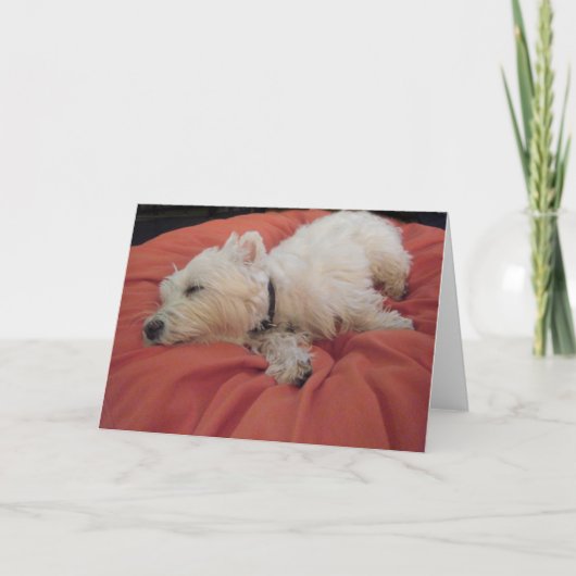 Sleeping Westie Foto Wenskaart Kaart (Voorkant)