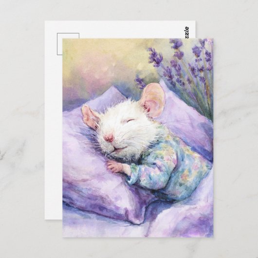 Sleeping White Mouse Briefkaart (Voorkant / Achterkant)