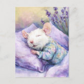Sleeping White Mouse Briefkaart (Voorkant)