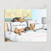Sleeps with Yorkies by Catia Cho Briefkaart (Voorkant)