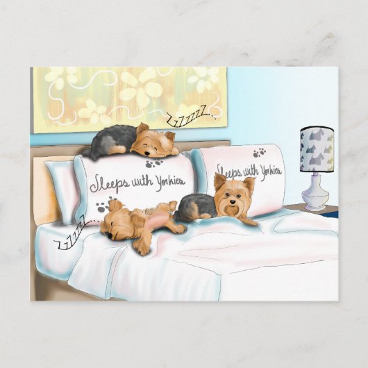 Sleeps with Yorkies by Catia Cho Briefkaart (Voorkant)