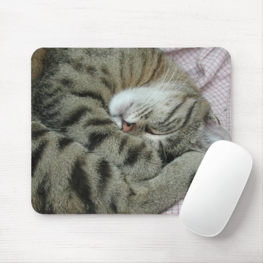 Sleepstand van de kartonnen wagen muismat (Met muis)