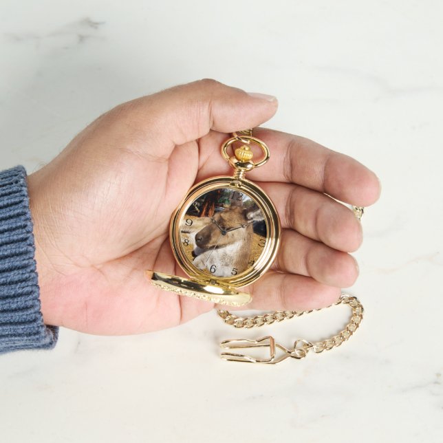 Sleepy Australian Kangaroo Horloge (Hand)