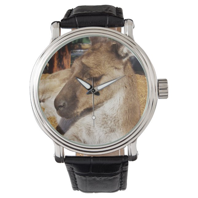 Sleepy Australian Kangaroo, Mannen Leather Watch. Horloge (Voorkant)