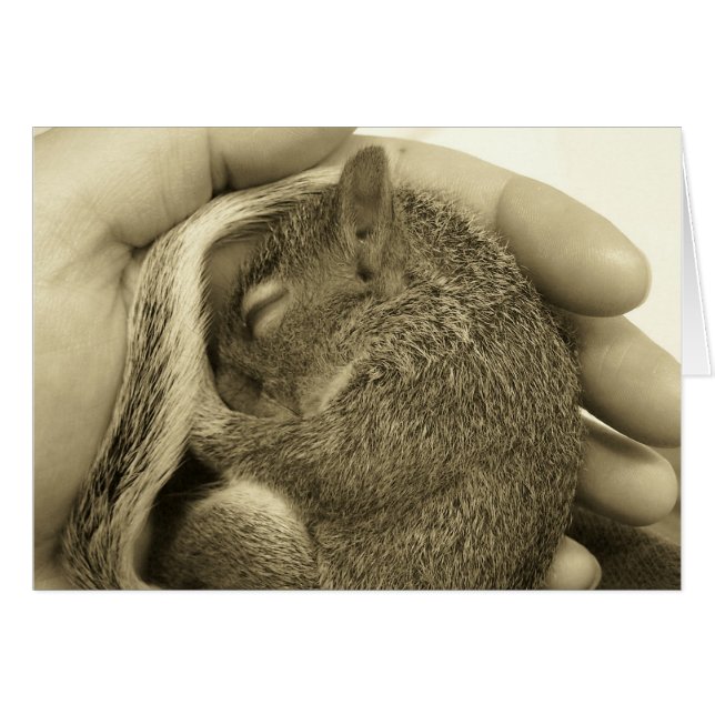 Sleepy Baby (Voorkant Horizontaal)