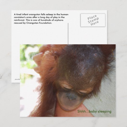 Sleepy Baby Orangutan in de armen van papa Briefkaart (Voorkant / Achterkant)