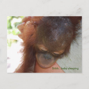 Sleepy Baby Orangutan in de armen van papa Briefkaart