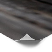 Sleepy Barn Owl Poster (Hoek)