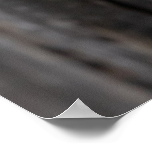 Sleepy Barn Owl Poster (Hoek)