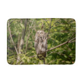 Sleepy Barred Owl Badmat (Voorkant)