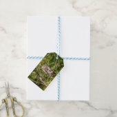 Sleepy Barred Owl Cadeaulabel (Met Touw)