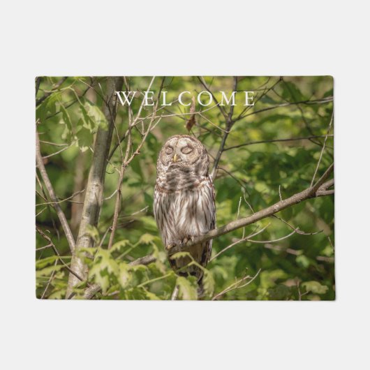 Sleepy Barred Owl Deurmat (Voorkant)