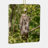 Sleepy Barred Owl Keramisch Ornament (Rechts)